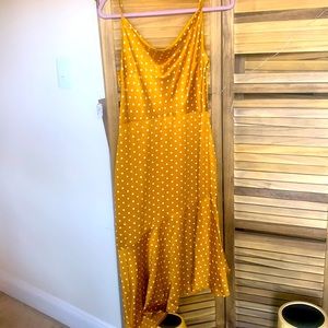 NWT - Anthropology POA  medium